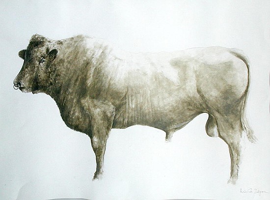 Islay Bull, 2004 (acrylic on canvas)  from Lincoln  Seligman