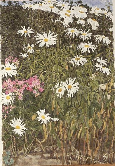 Daisies and Phlox (w/c on paper)  from Linda  Benton