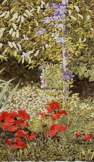Poppies and flowering Clematis  from Linda  Benton