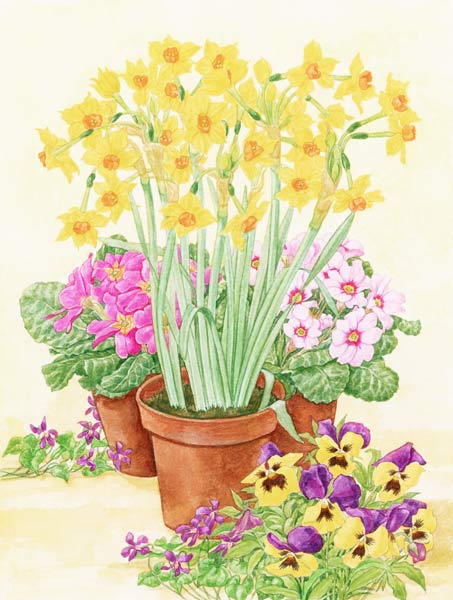 Pots of Spring Flowers, 2003 (w/c on paper)  from Linda  Benton