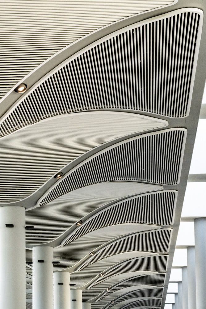 Airport Arches from Linda Wride