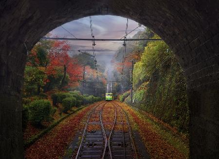 The Train, Japan