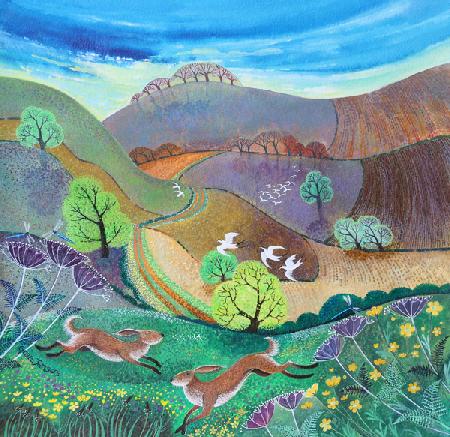 Downland Hares