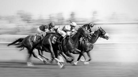 Horse Racing @ Queens Plate