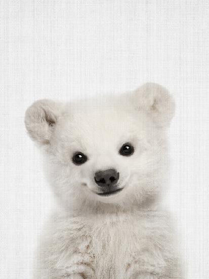Peekaboo Baby Polar Bear
