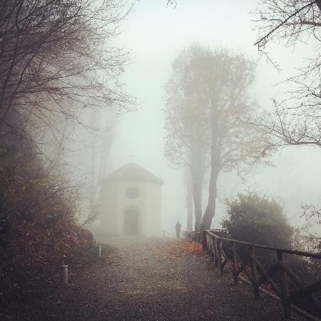 A foggy day in Piemonte