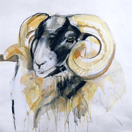 Long Horn Sheep (mixed media)  from Lou  Gibbs