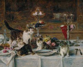 Kittens at a banquet
