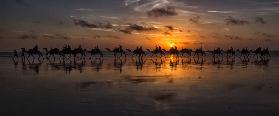 Sunset Camel Safari