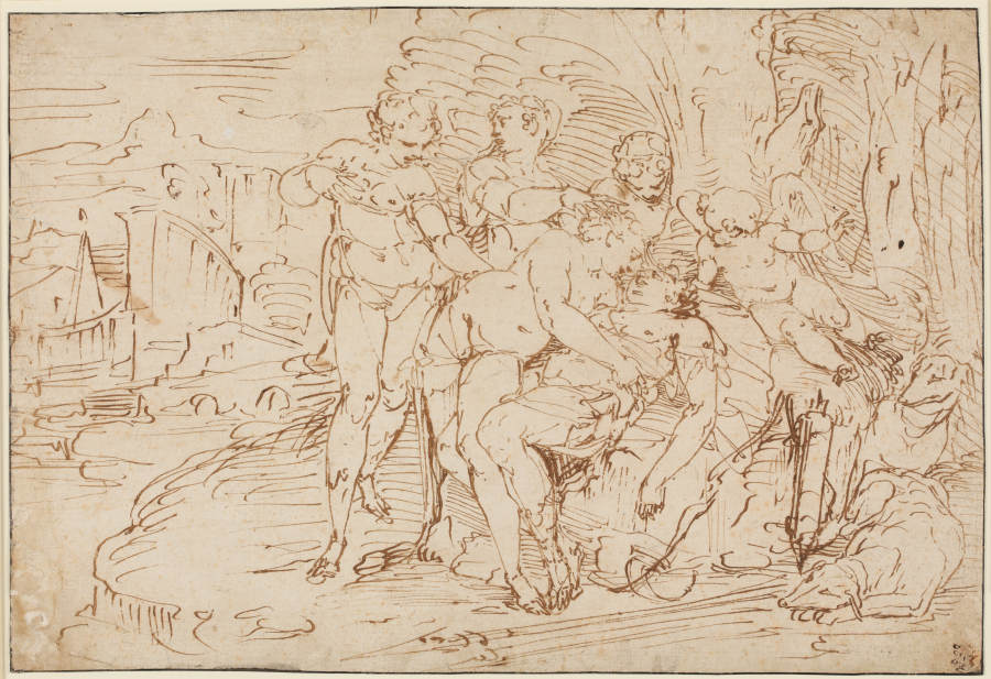 Venus mourning Adonis from Luca Cambiaso