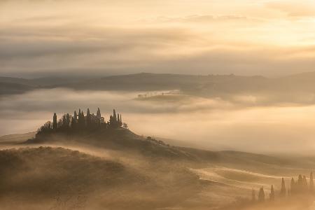 sunrise at belvedere