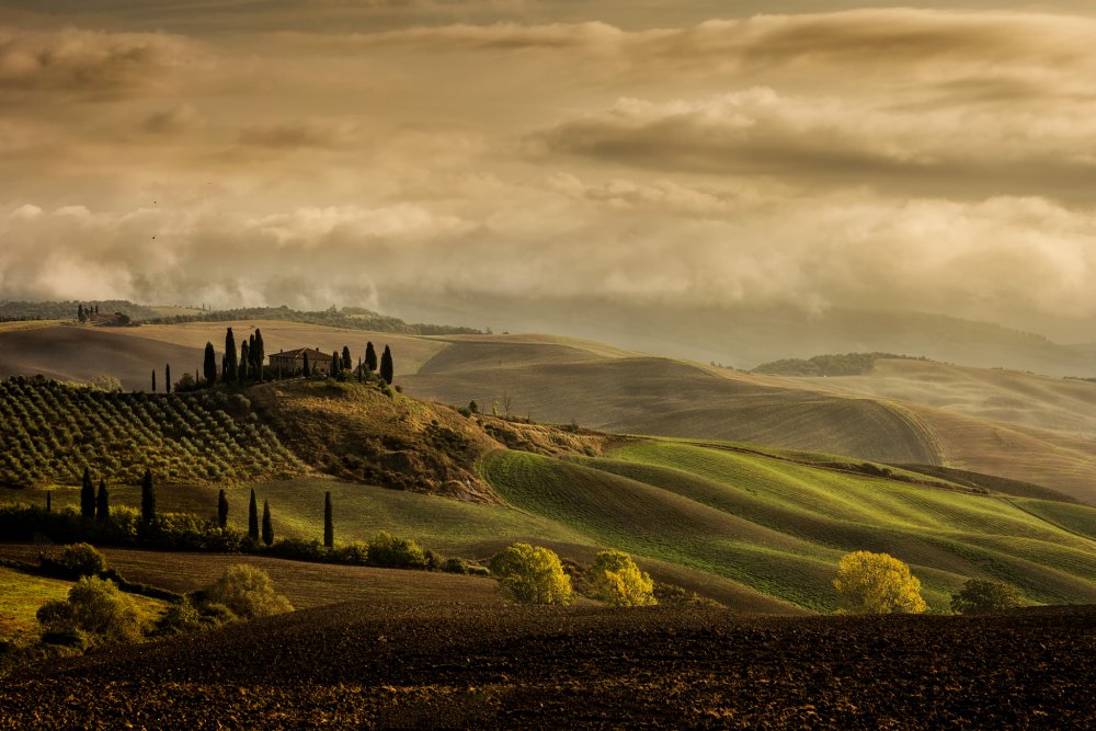 The Land where Dreams come true ! from Luca Vescera