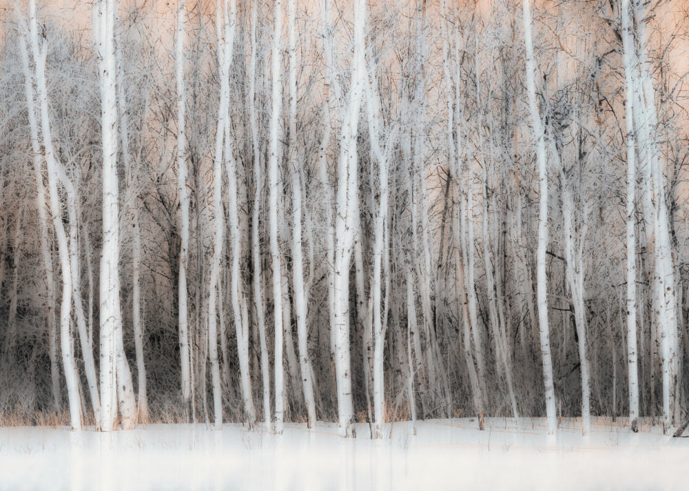Wintry Vision from Lucie Gagnon