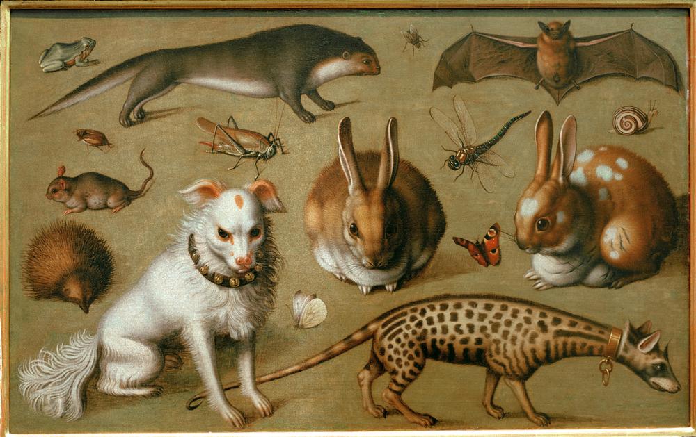 Tierbild mit Ginsterkatze from Ludger Tom, the Younger Ring