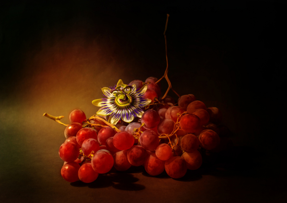 Red grapes and passion flower from Ludmila Shumilova