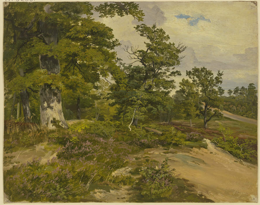 Forest near Wetzlar from Ludwig Christian Wagner