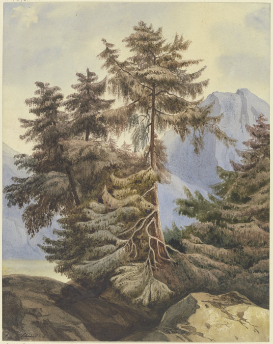Three fir trees in the mountains from Ludwig Daniel Philipp Schmidt