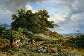 Bohemian shepherd landscape.