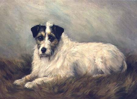 Terrier from Mabel Hastings