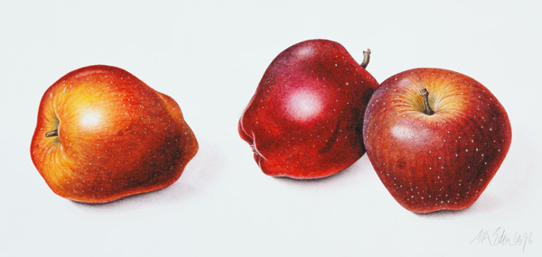 Red Apples, 1996 (w/c on paper)  from Margaret Ann  Eden