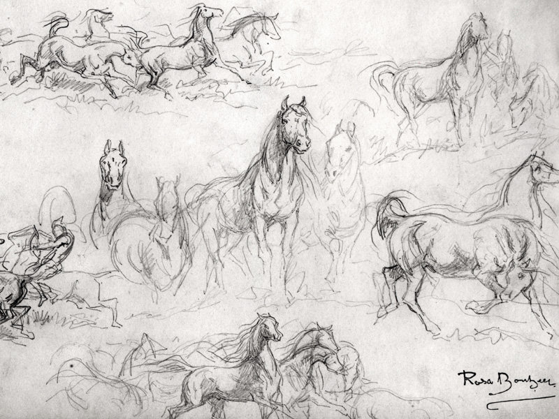 Study of Horses from Maria-Rosa Bonheur