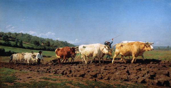 Ploughing with oxen in the Nivernais.