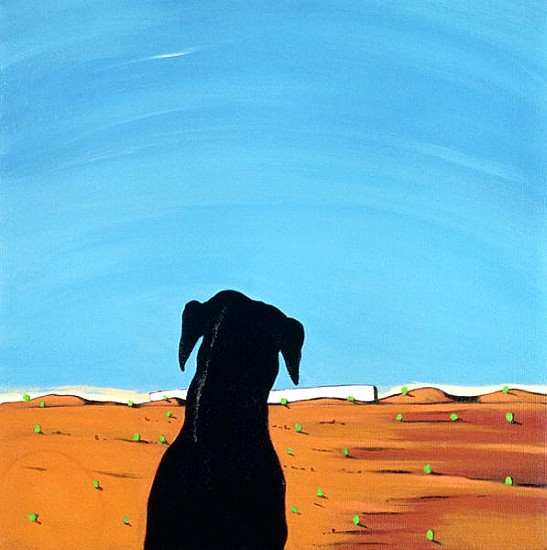 Black Dog in Chestertown, 1998 (acrylic on canvas)  from Marjorie  Weiss