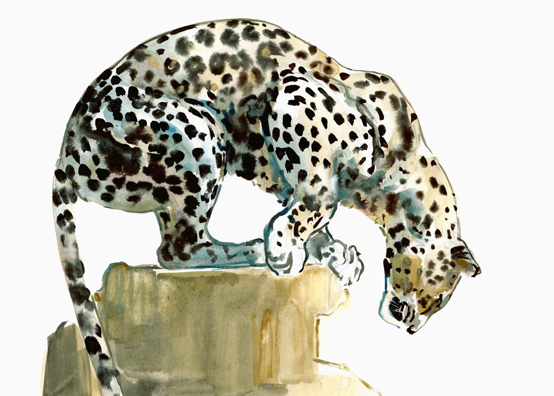Spine (Arabian Leopard) from Mark  Adlington