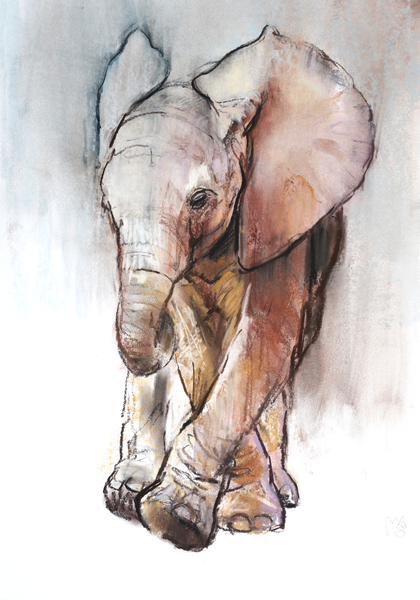 Baby Elephant 2, Loisaba from Mark  Adlington