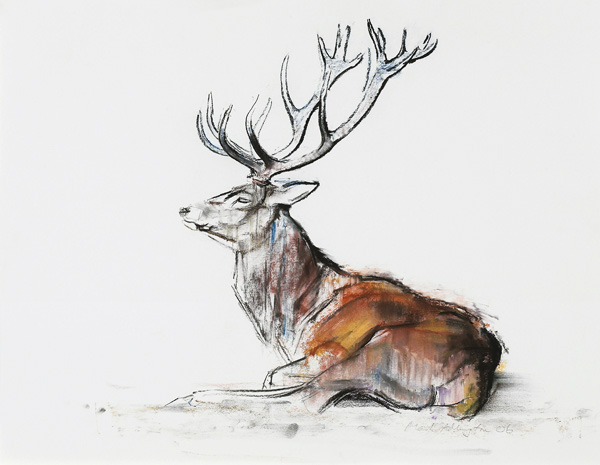 Seated Stag from Mark  Adlington