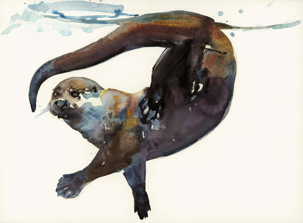 Otter Study II -Talisker from Mark  Adlington