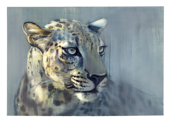 Predator II (Arabian Leopard) from Mark  Adlington