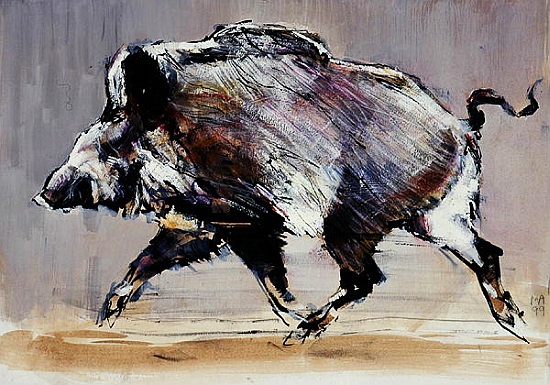 Running boar from Mark  Adlington