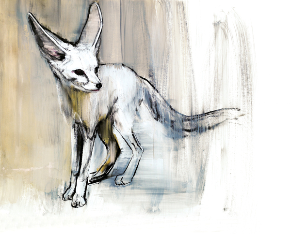 Sand Fox from Mark  Adlington