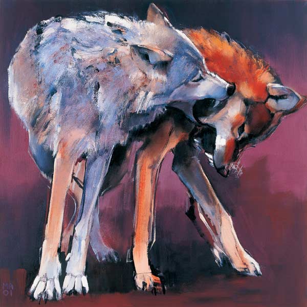 Two Wolves from Mark  Adlington