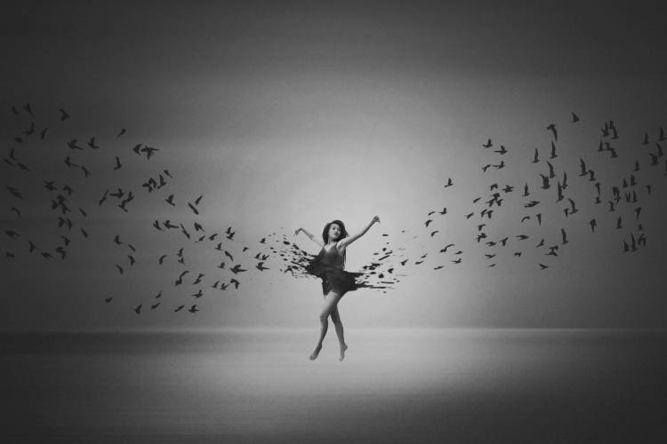 Ballerina flight of Birds from Mark Biwit