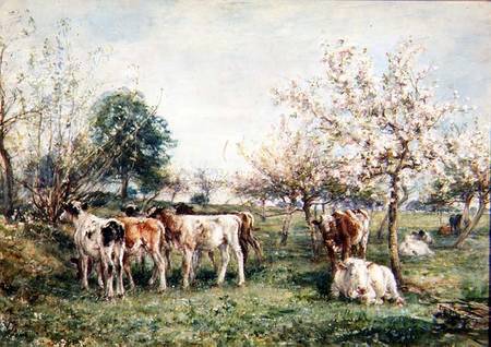 Calves in a Cherry Orchard from Mark Fisher