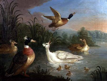Ducks on a River Landscape from Marmaduke Craddock