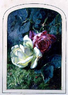 Roses and a ladybird on a mossy bank (board)