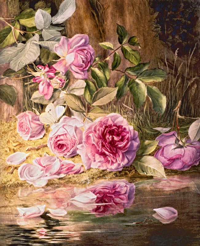 Blairie Roses from Mary Elizabeth Duffield