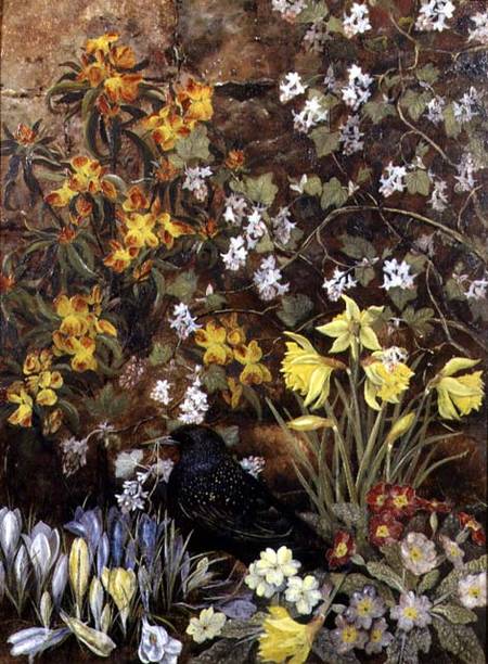 Spring Flowers from Mary Ensor