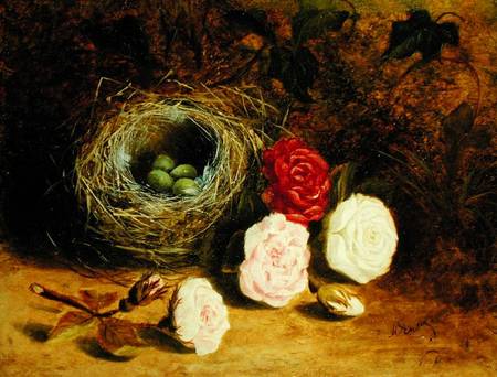 Still life of bird's nest and roses from Mary Ensor