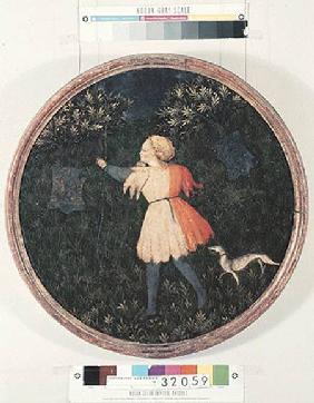 Young falconer, Florentine School