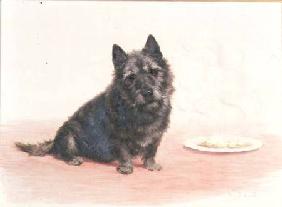 Suppertime - A Scottish Terrier Seated by a Plate