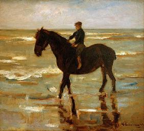Reitender Junge am Strande – dickes Pferd