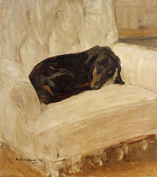Sleeping dachshund from Max Liebermann