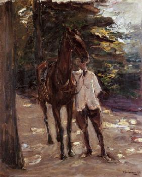 stable-lad with horse