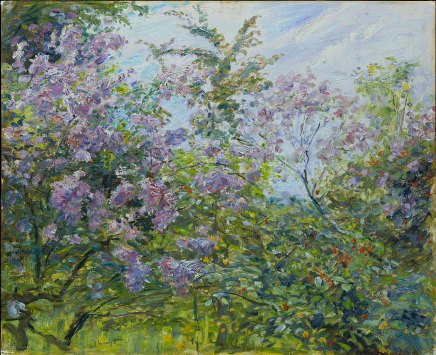 Blossoming Lilac from Max Slevogt