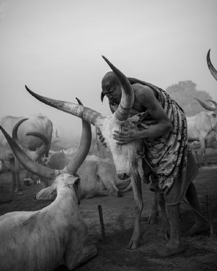 South Sudan - A Land Where Cows Are Sacred