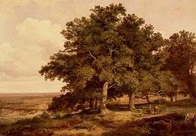 Oak cluster of trees with smallholders in front of a wide landscape.